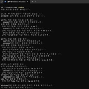 외장하드 포맷 오류 해결을 위한 chkdsk 명령어 실행화면