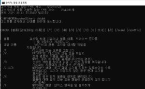 외장하드 포맷 오류 해결을 위한CHKDSK 명령어의 옵션명령을 help명령으로 알아본 결과