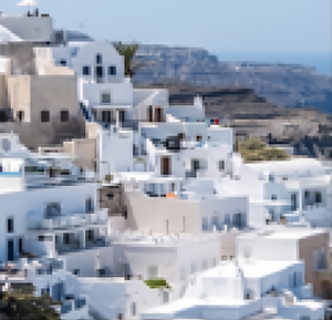 이미지 확대 후