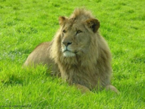 사진 배경 제거 전후 비교-1